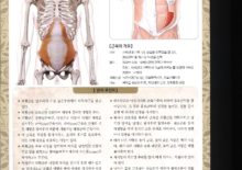 5_20. 복횡근(배기로근)