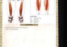 5_25. 중간광근(중간넓은근)