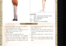 5_26. 비복근(장판지근)