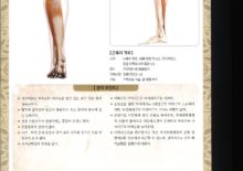 5_27. 가자미근