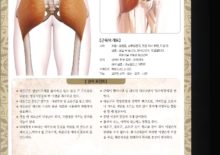5_28. 대둔근(큰볼기근)