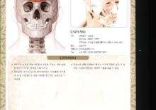 5_35. 전두근(이미근)