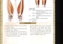 5_39. 내.외측광근(안쪽.기쪽넓은근)