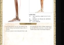 5_41. 장비골근(긴중이리근)