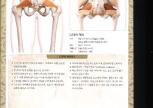 5_42.이상근(궁둥구명근)