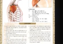 5_43.삼각근(어깨새모근)