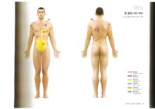 등통증(좌측 하부)