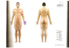 손 힘빠짐(좌)