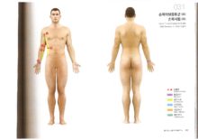 손목터널증후군(우)_손목시림(우)