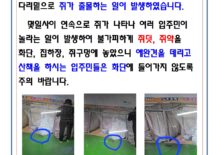 102동 쥐출몰